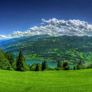 Spring time panorama wallpaper