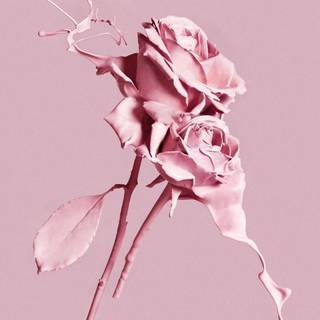 Cute spring iPhone wallpaper