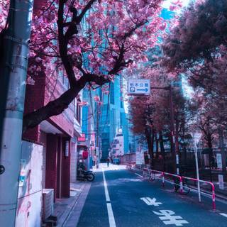 Street spring wallpaper