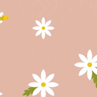 Spring daisies wallpaper