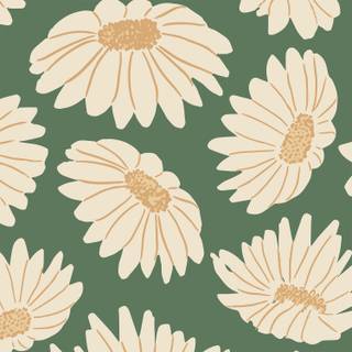 Spring daisies wallpaper