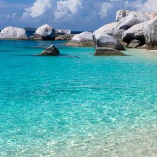 2024 summer wallpaper