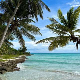 2024 summer wallpaper