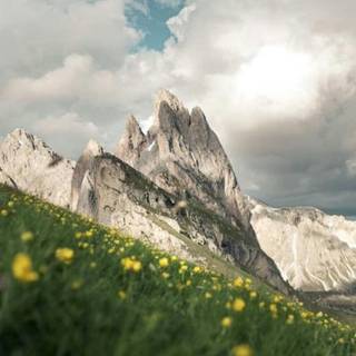 Spring time panorama wallpaper