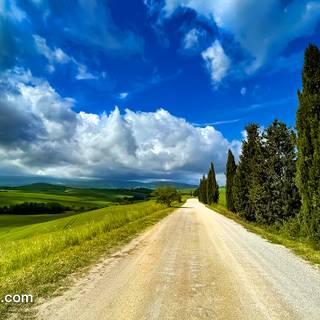 Spring time panorama wallpaper