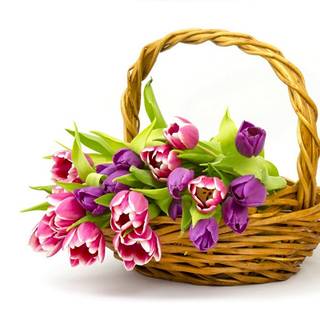 Spring baskets wallpaper