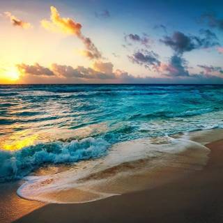 2024 summer wallpaper