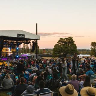 2024 summer wallpaper