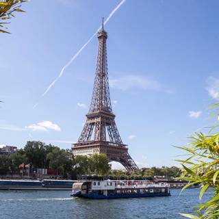 2024 summer wallpaper