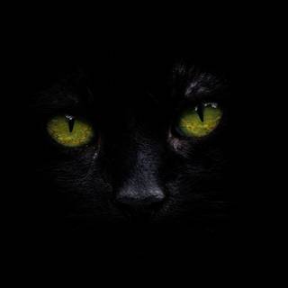 Oled 4k black wallpaper