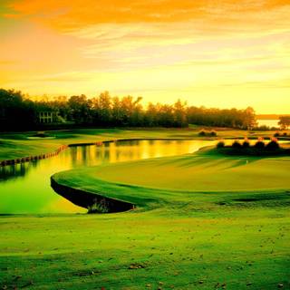 Augusta 4k wallpaper