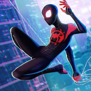 Miles Morales Gwen wallpaper