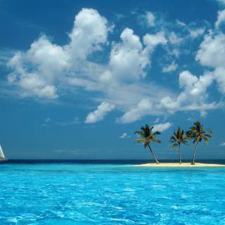 4k Windows XP wallpaper