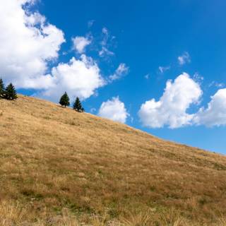 4k Windows XP wallpaper