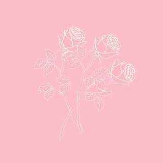 Pink iPhone aesthetic wallpaper