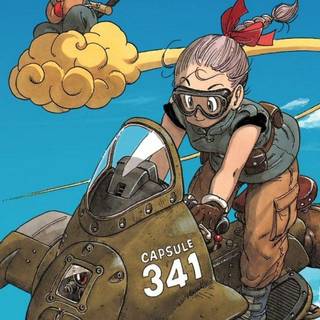 Bulma iPhone wallpaper