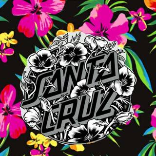 Santa Cruz iPhone wallpaper