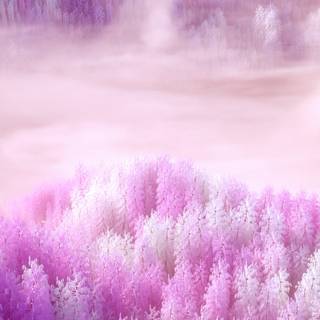 Pink iPhone aesthetic wallpaper