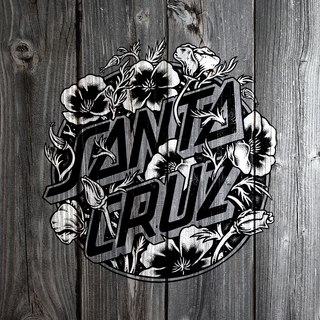 Santa Cruz iPhone wallpaper