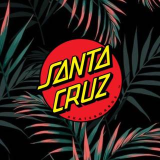 Santa Cruz iPhone wallpaper
