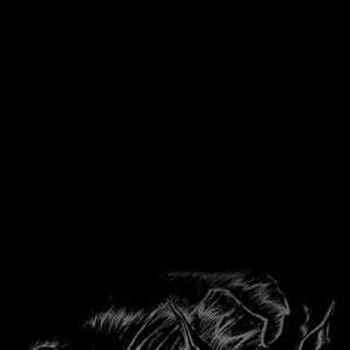 iPhone Berserk wallpaper