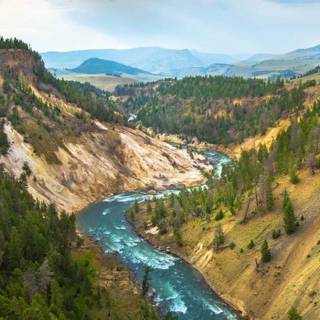 iPhone river wallpaper