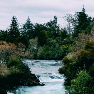 iPhone river wallpaper