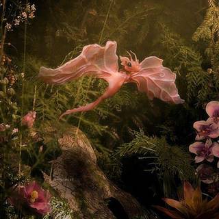 Melanie Martinez iPhone wallpaper