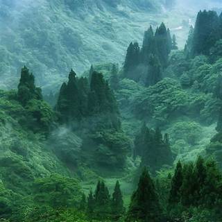 iPhone river wallpaper