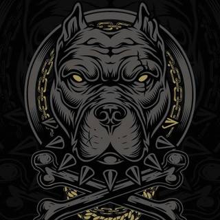 Pitbull phone wallpaper