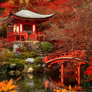 Kyoto iPhone wallpaper
