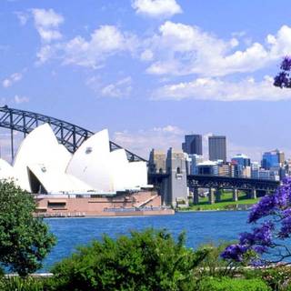 Sydney iPhone wallpaper