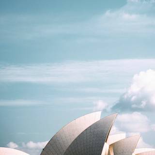 Sydney iPhone wallpaper