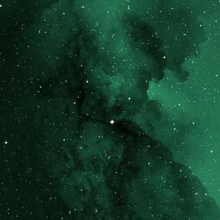 iPhone dark green wallpaper