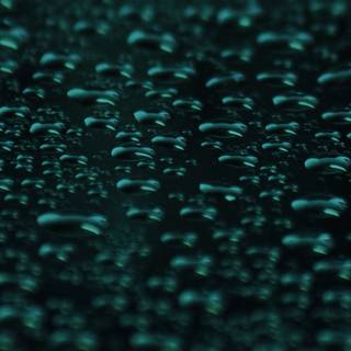 iPhone dark green wallpaper