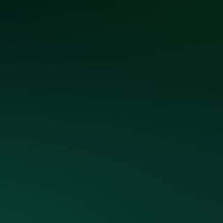 iPhone dark green wallpaper