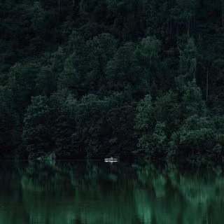 iPhone dark green wallpaper
