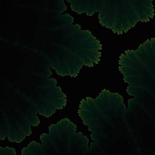 iPhone dark green wallpaper