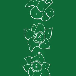 iPhone dark green wallpaper