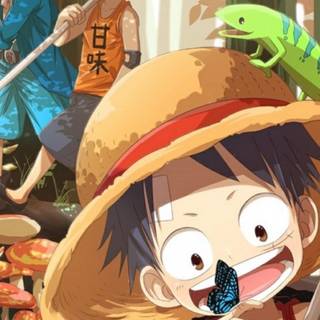 Luffy iPhone 11 wallpaper