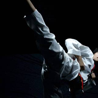 Martial arts phone wallpaper