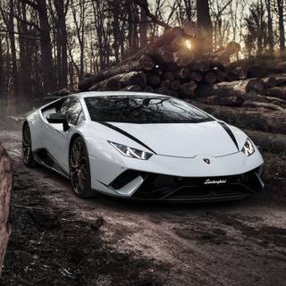 Phone Lambo wallpaper