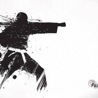 Karate logo wallpaper