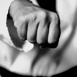 Martial arts phone wallpaper