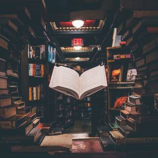 iPhone books wallpaper