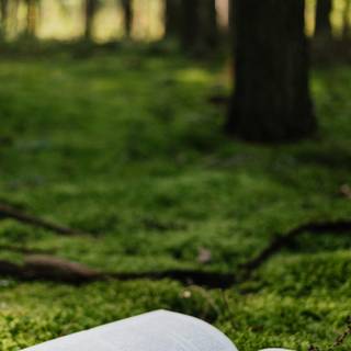 iPhone books wallpaper