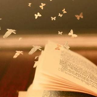 iPhone books wallpaper