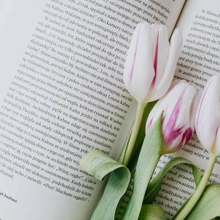 iPhone books wallpaper