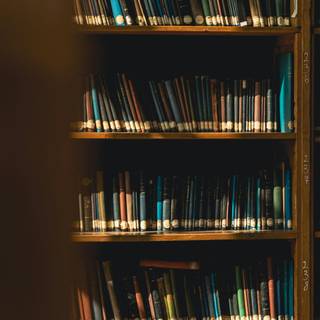 iPhone books wallpaper