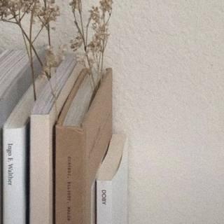 iPhone books wallpaper